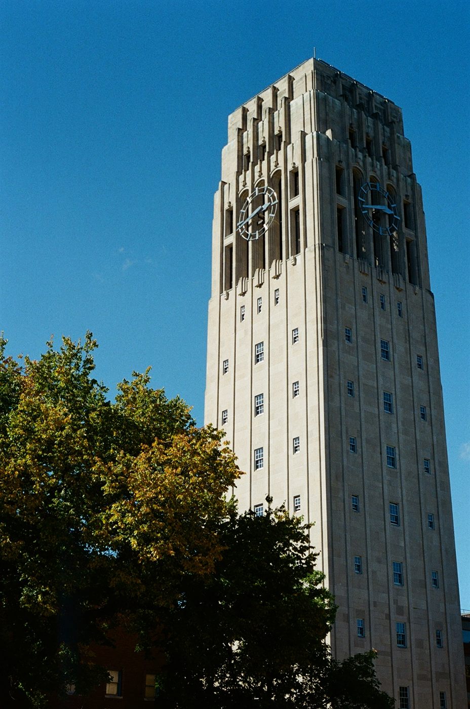 Burton Memorial Tower against a clear blue sky, with a tree turning yellow in the foreground.